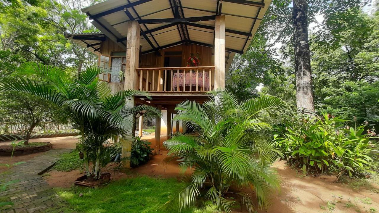 Ruk Sewana Villa Tree House Sigiriya Exterior foto
